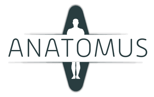 Anatomus Anatomy logotype